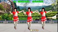 2016最新吕芳广场舞《一生痴情只为你》正背面及分解下载