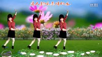 吕芳广场舞《甜甜的小妹》杨丽萍编舞及分解