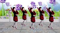 2016最新吕芳广场舞《要爱就爱一辈子》金灿
