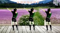 2016最新吕芳广场舞《主要看气质》编舞刘荣