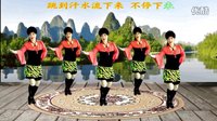 2016最新简单的吕芳广场舞《广场舞大妈跳起
