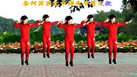 2016最新吕芳广场舞DJ《成全我吧》编舞杨丽