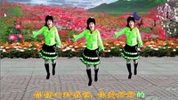 2016最新吕芳广场舞《亲爱的别想我》正背面