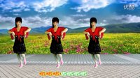 吕芳广场舞《希望今天遇见你》jd版简单32步