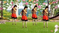 吕芳广场舞《爱人情歌》杨丽萍编舞及分解动