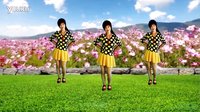 吕芳广场舞《爱情血泪史》杨丽萍编舞及分解