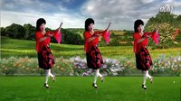 吕芳广场舞《网上这段情缘》正背面演示