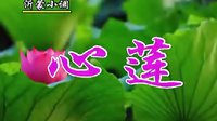沂蒙小调心莲：05
