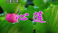 沂蒙小调心莲：04
