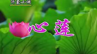沂蒙小调心莲：01