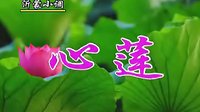 沂蒙小调心莲：02