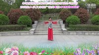 巩义宋陵广场舞《一支桃花》 附动作分解 背