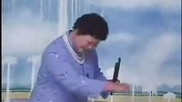 河南坠子 三罐分家 席芬 齐孝兰演唱_标清