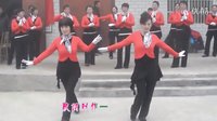 惠汝广场舞-桃花运