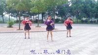 穿心村文雯广场舞《茶山情歌》再版