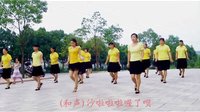 穿心村文雯广场舞《最炫民族风》字幕版