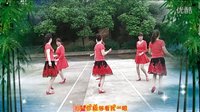 2016最新双人舞DJ《做我的爱人》衡阳丽萍广