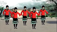 吕芳广场舞三步踩一曲红尘