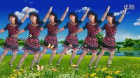 广场舞今夜舞起来