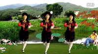 山里红广场舞