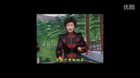 琴书《雷宝同投亲》全集