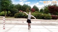 金灿灿广场舞《为何要伤我的心》正背面动作