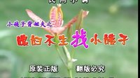 民间小调媳妇不生找小姨子：02
