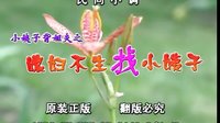 民间小调媳妇不生找小姨子：01