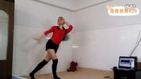 青青世界广场舞  DJ月亮里的草原 附背面 原