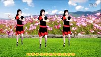 2016最新吕芳广场舞《姐姐我爱你》正背面及