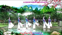 淠绿花园广场舞 我在前世约了你 团队正面