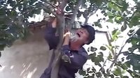 安徽民间小调《孙子栽树爷乘凉》2