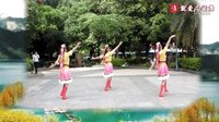 深圳山茶广场舞《吉祥》原创附教学编舞浓茶