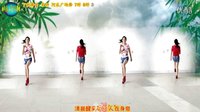阿采广场舞2016 双人对跳舞DJ《在他乡》  