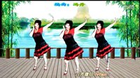 吕芳广场舞2016《DJ你开心所以我快乐》正背