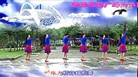 淠绿花园原创广场舞 云中的路  团队正面 一