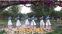 淠绿花园广场舞《我在前世约了你》 团队正