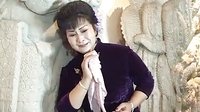 沂蒙《黄家大院》第十一集