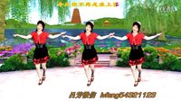 吕芳广场舞2016最新《走过咖啡屋》正背面及