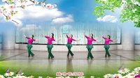 海之韵广场舞《语花蝶》正面演示（编舞：阿中中