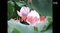 淮海戏《追鱼》选段1
