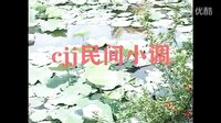 淮海戏《追鱼》选段2