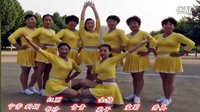 青青世界广场舞  团队演示版《欢乐颂》