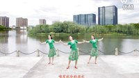 张春丽广场舞《前世欠你的情泪》背面演示与