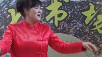 河南坠子 双标记 袁雪芬演唱_标清