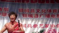 河南坠子清官断：01-张凤巧演唱_标清