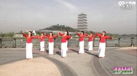 陕西华清群广场舞《若有缘再相见》正面演示