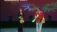 东北二人转《办喜事》韩子平 董玮演唱