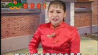 河南坠子 标清