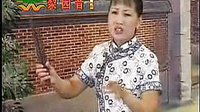 河南坠子《龙抓不孝子》